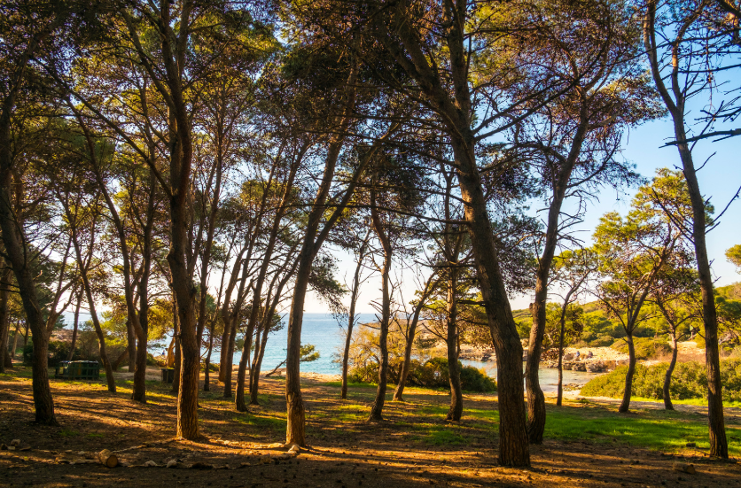  Parco Naturale Regionale di Porto Selvaggio