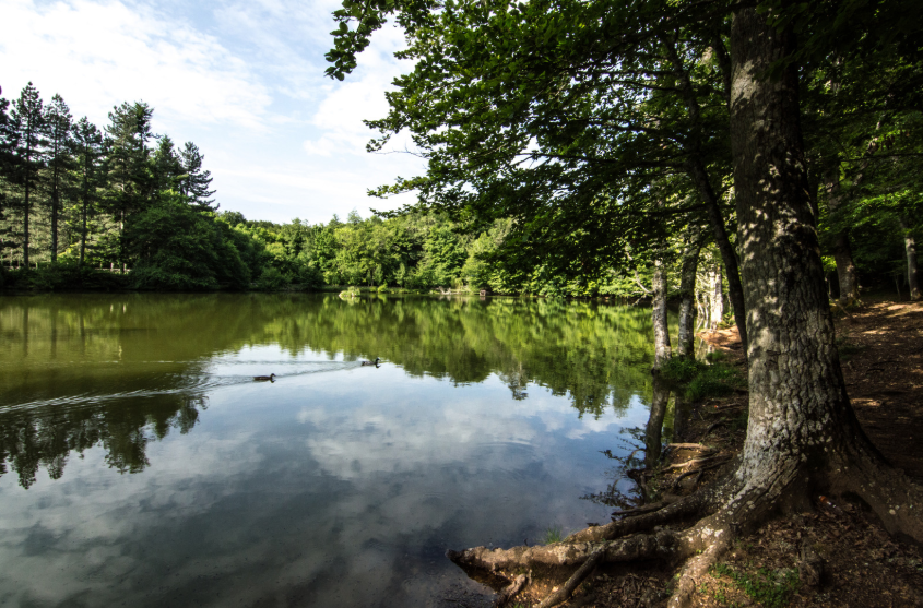 weekend nel gargano alla foresta umbra