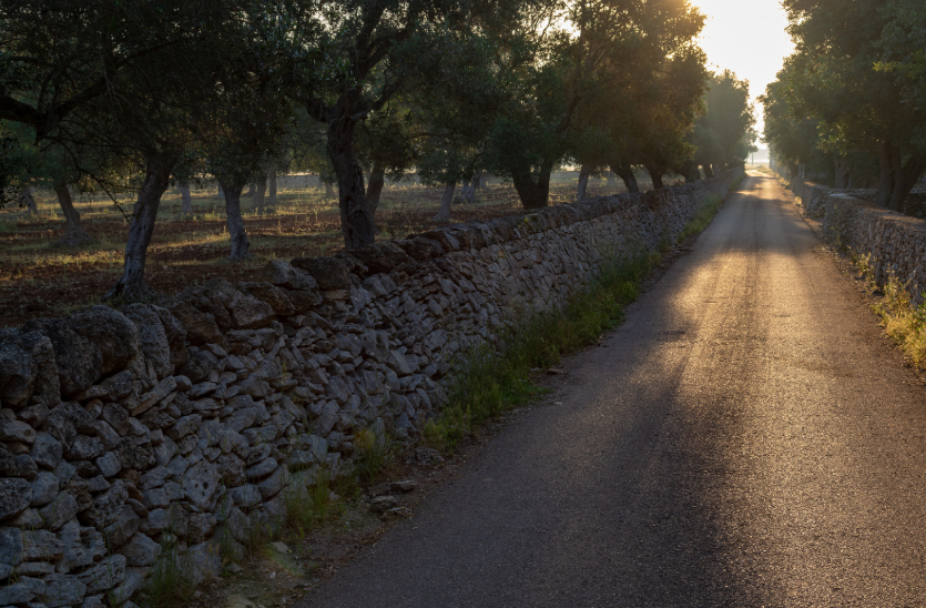 campagna di nardò