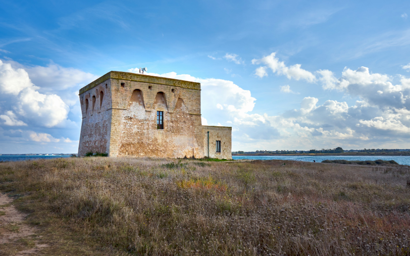 torre aragonese di torre guaceto